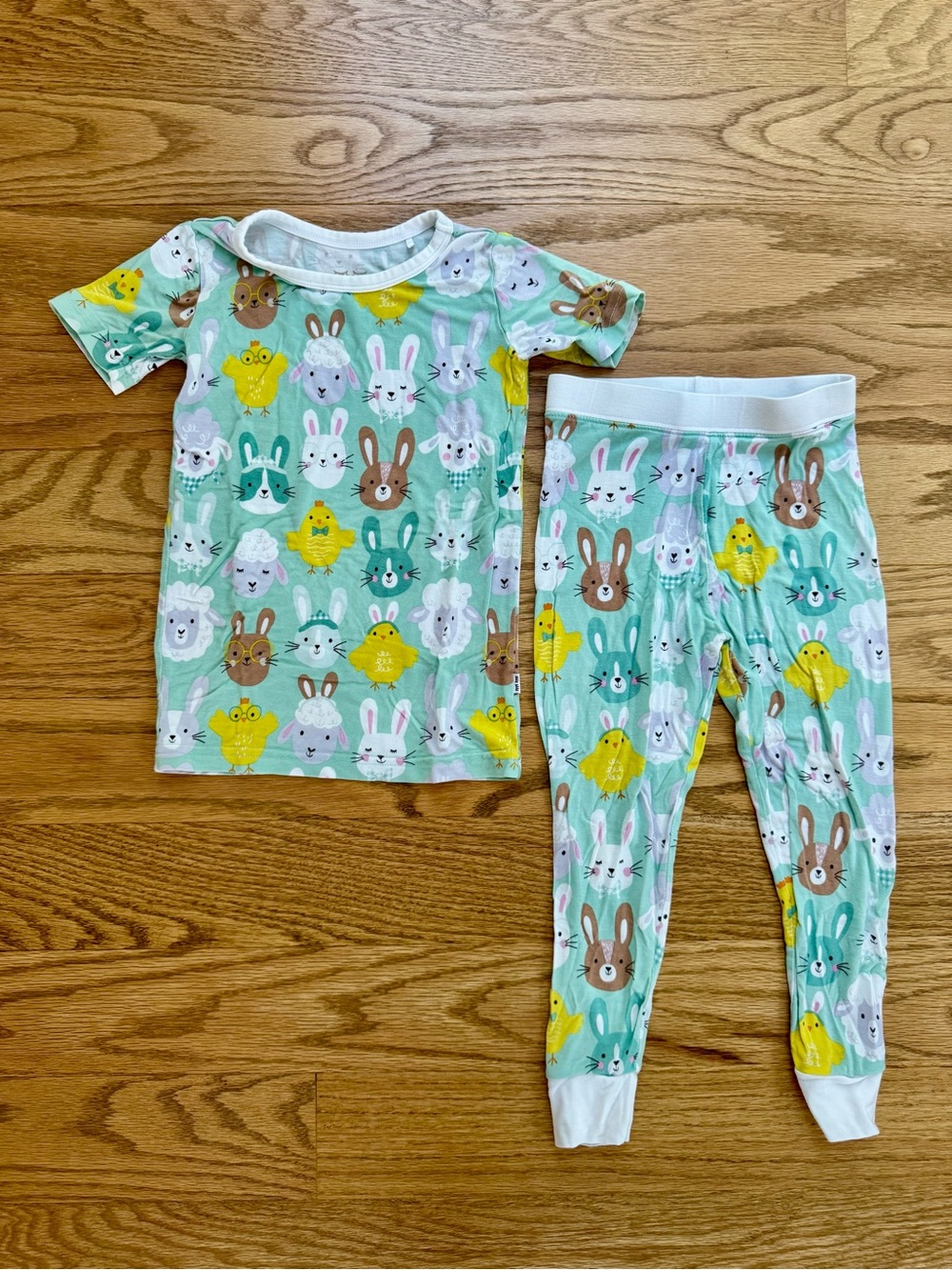 Little Sleepies bamboo Mint Green Bunny & Chick Pajama Set